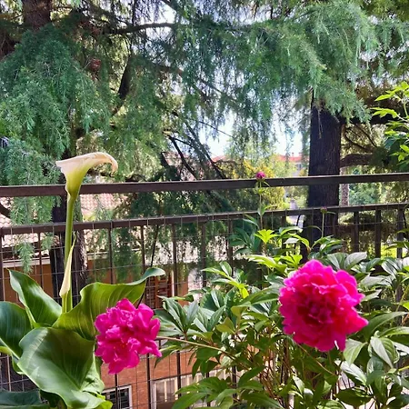 Bright Floor With Large Terrace * Padova